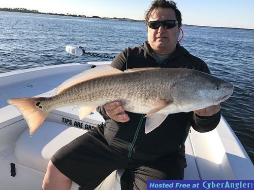 Click to Enlarge Photo