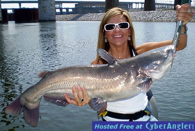 Click to Enlarge Photo