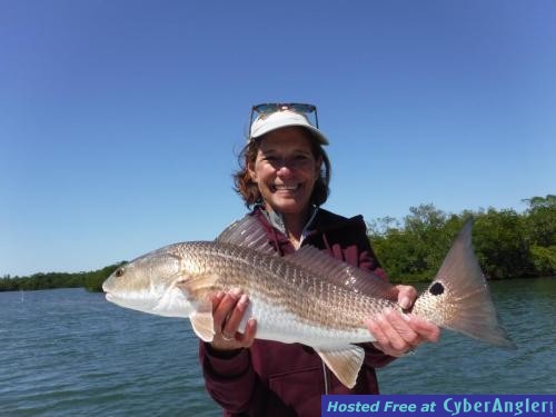 Click to Enlarge Photo