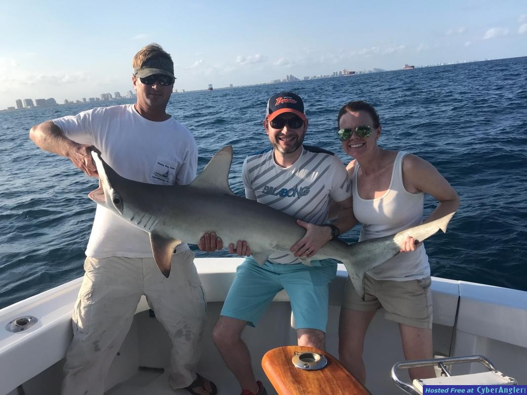 Shark_JP