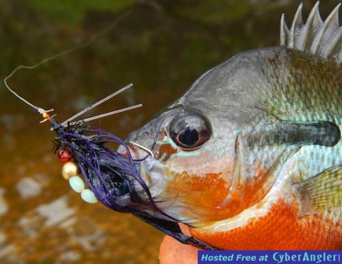 Click to Enlarge Photo