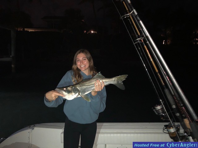 Night Bite