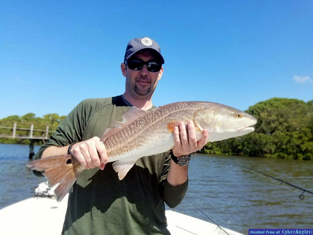 redish_clearwater_beach_fishing_charter_