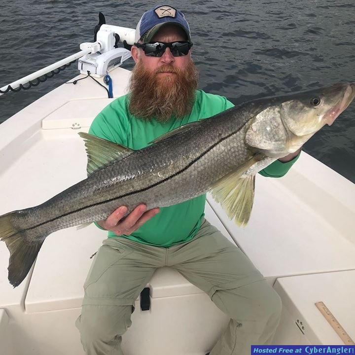 snook_fishing_charter_tampa_bay_clearwater_beach_