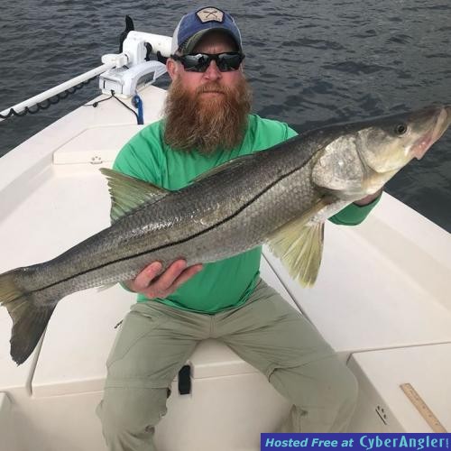 snook_fishing_charter_tampa_bay_clearwater_beach_