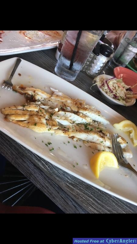 seatrout_dinner_clearwater_beach_clwfishing_