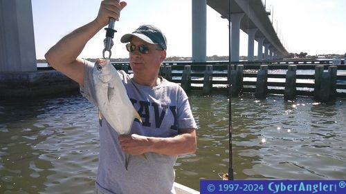 Fishing Stuart and the St. Lucie River