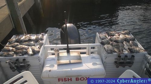 Fishing Stuart and the St. Lucie River