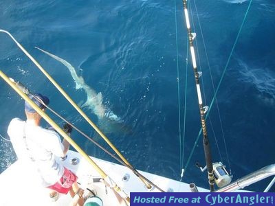 Click to Enlarge Photo