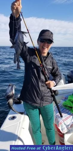 Click to Enlarge Photo