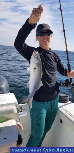 Click to Enlarge Photo