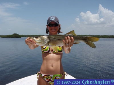 Click to Enlarge Photo