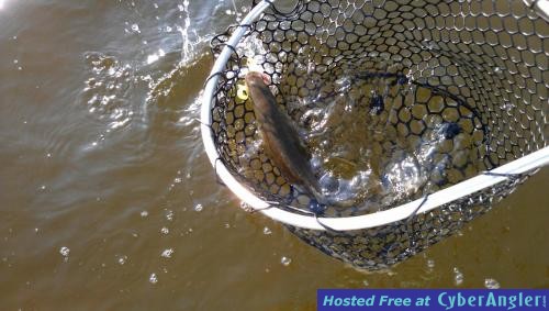 Click to Enlarge Photo