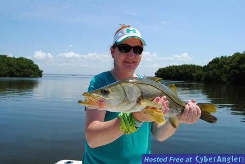 Click to Enlarge Photo