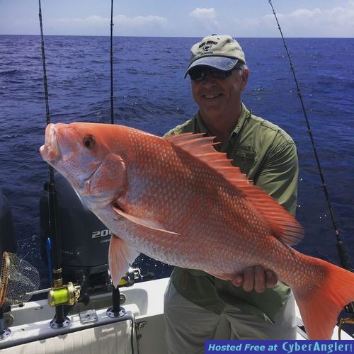 Click to Enlarge Photo