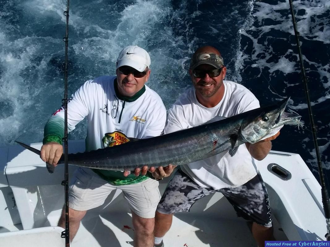 wahoo_mark_3_12_am