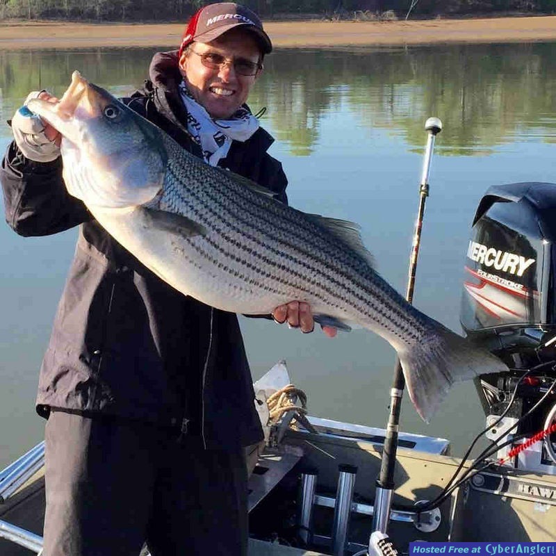 texoma-striper