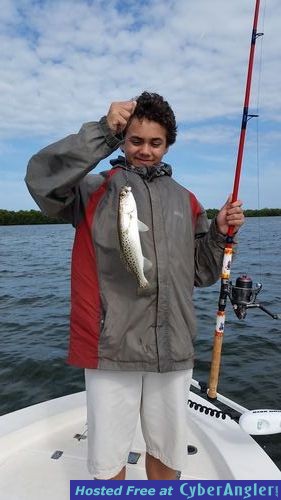 Mytarpon.com trout,snapper tripletail fishing guide