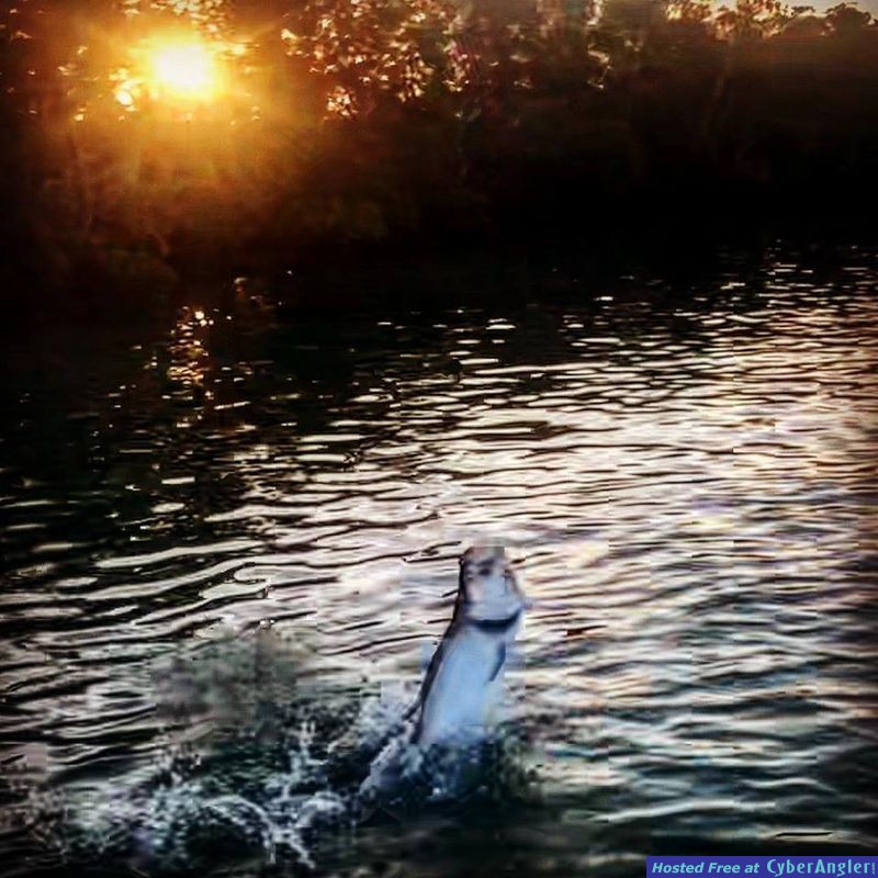 easy_does_it_Tarpon_fishing