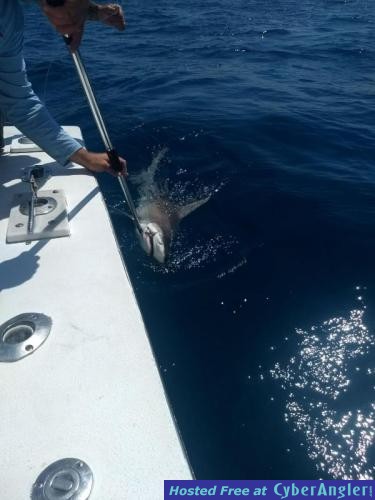 Click to Enlarge Photo