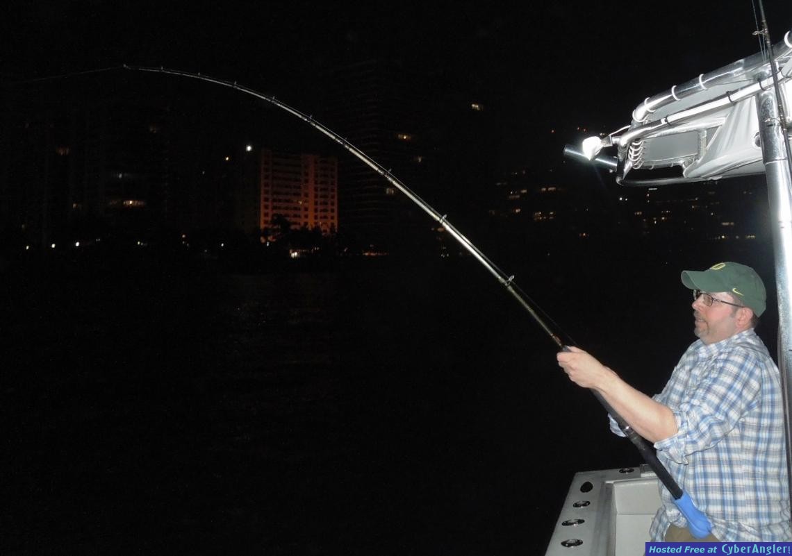 Click to Enlarge Photo