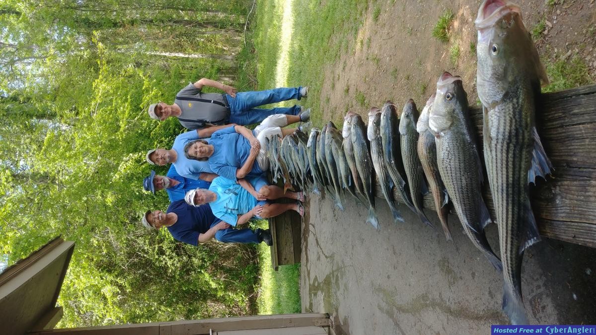 Click to Enlarge Photo