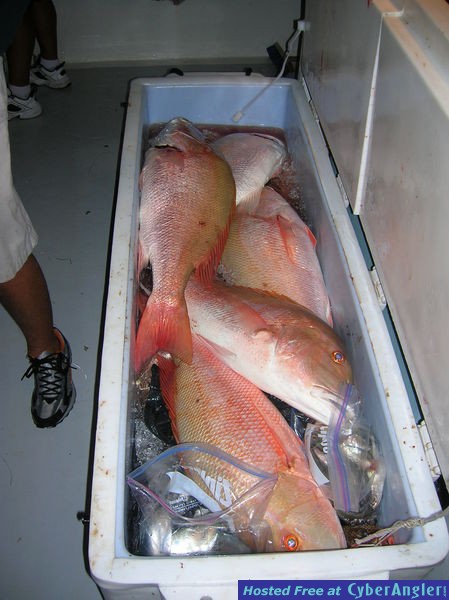 Picture_0062