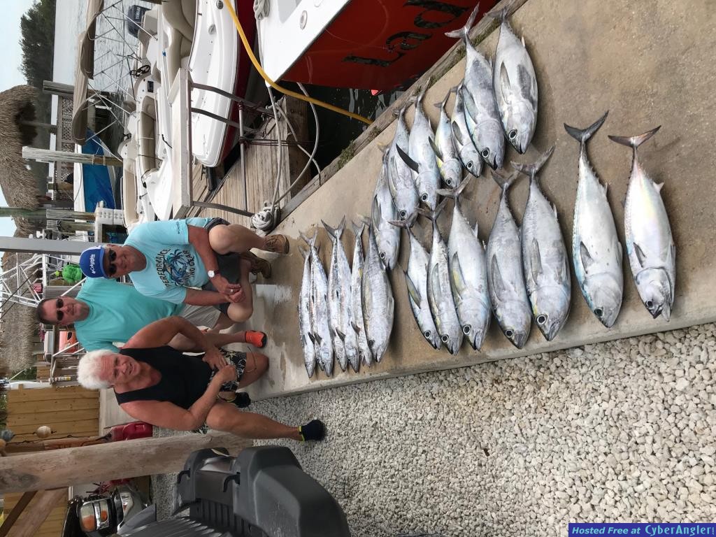 tuna_topia