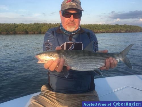 Click to Enlarge Photo