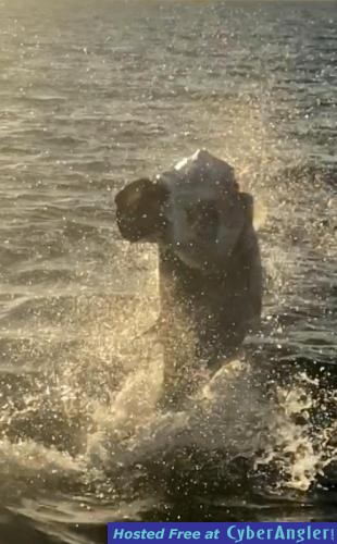 Click to Enlarge Photo