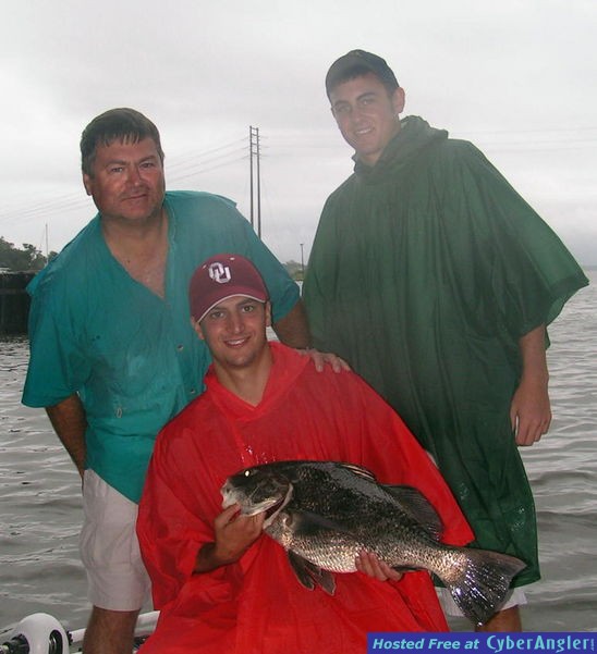 Carters 10 lb Black Drum