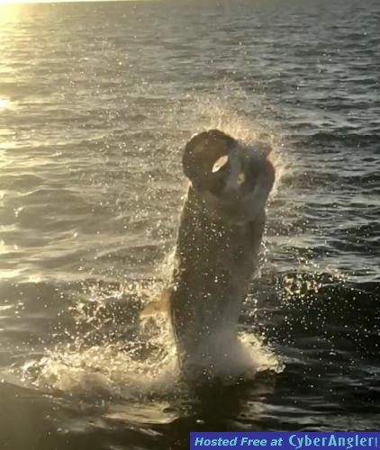 Click to Enlarge Photo