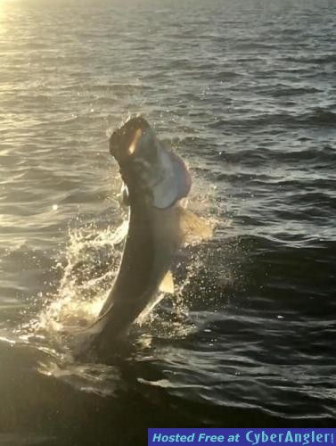 Click to Enlarge Photo