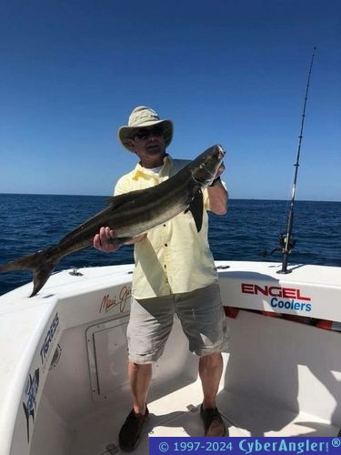 Click to Enlarge Photo