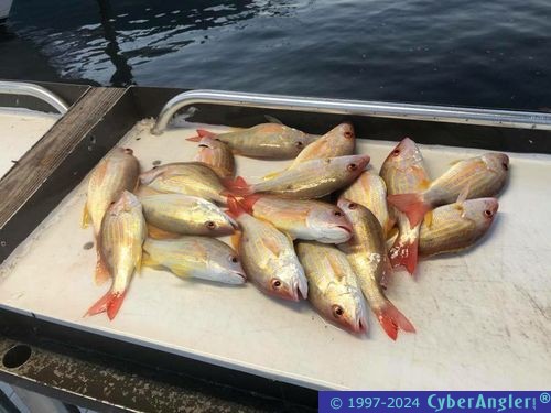 Click to Enlarge Photo