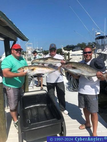 Click to Enlarge Photo