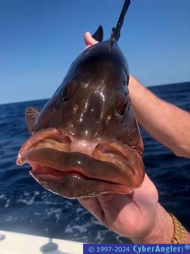 Click to Enlarge Photo