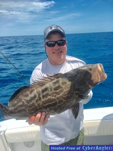 Click to Enlarge Photo