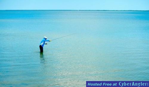 Click to Enlarge Photo