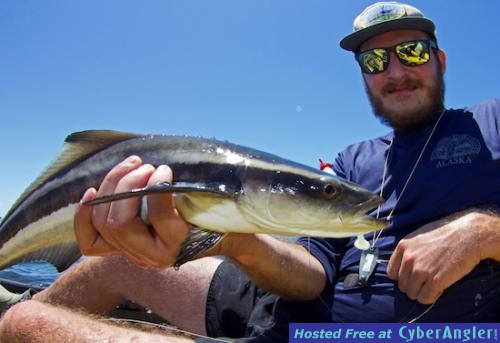 Click to Enlarge Photo