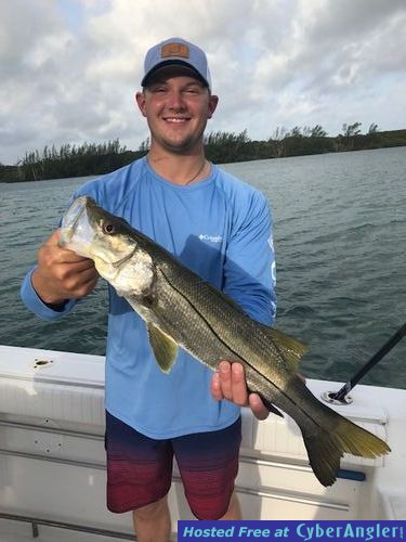 Snook are hitting