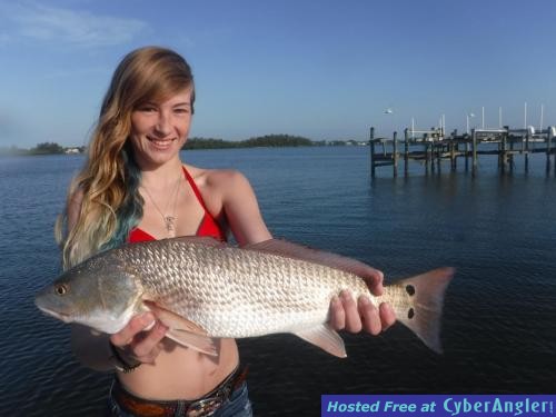 Click to Enlarge Photo