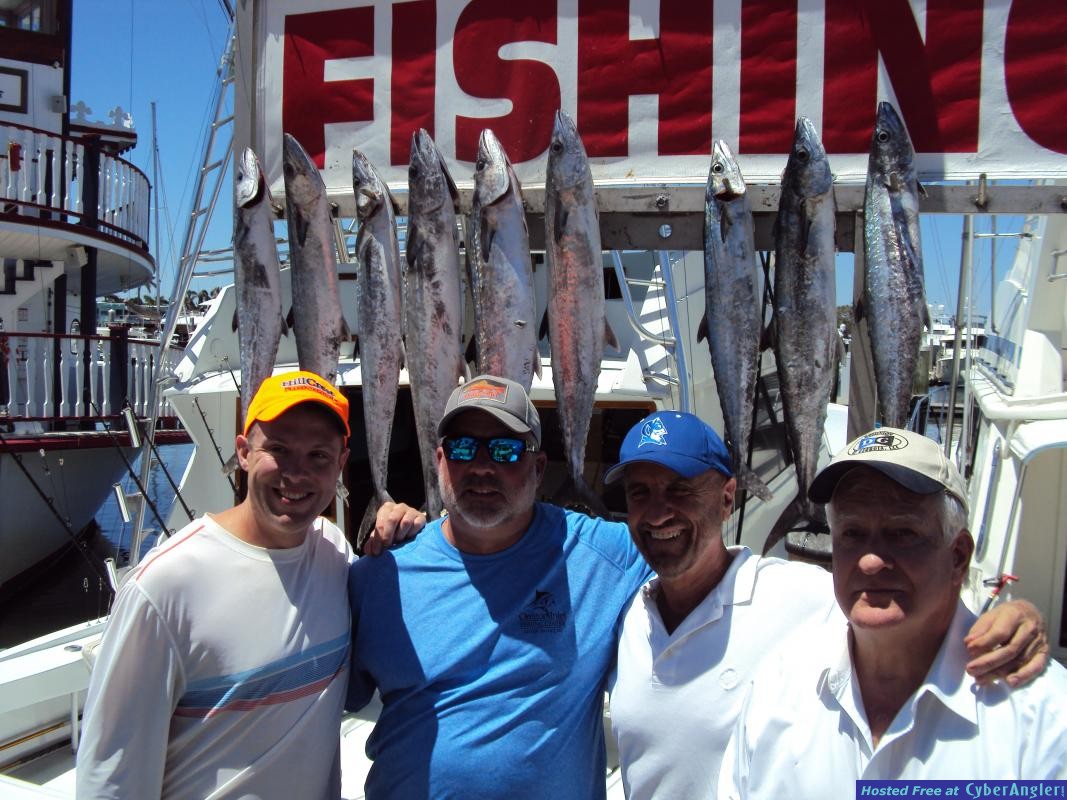 kingfish_blake