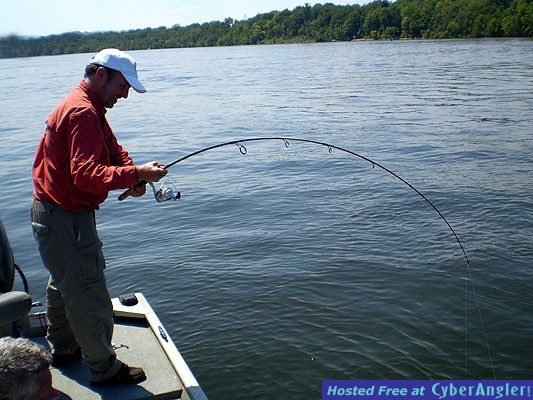 Click to Enlarge Photo