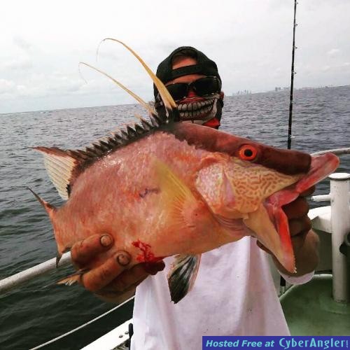 Crazy Fish Biting on our Fort Lauderdale Drift Fishing Trips