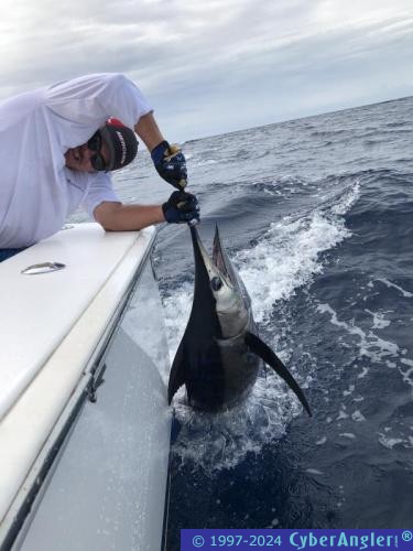 Click to Enlarge Photo