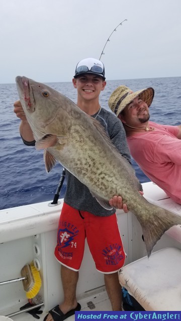 Click to Enlarge Photo