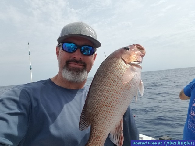 Click to Enlarge Photo