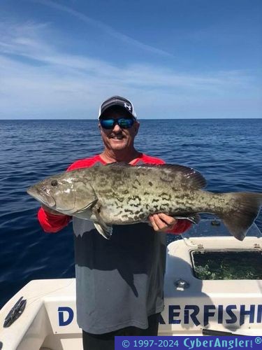 Click to Enlarge Photo