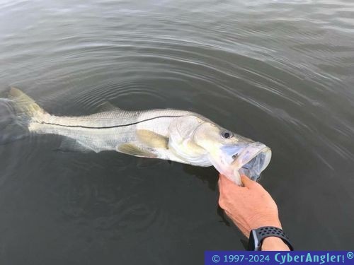 Fishing Stuart, FL